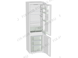 Холодильник Pelgrim PKD5178V/P01 (439690, HZI2928) - Фото